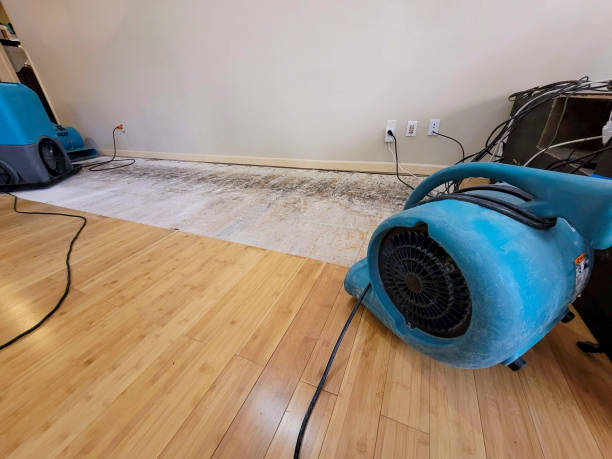 Reliable Water Damage Repair contractor in Edmond, OK by Hirex Water Damage